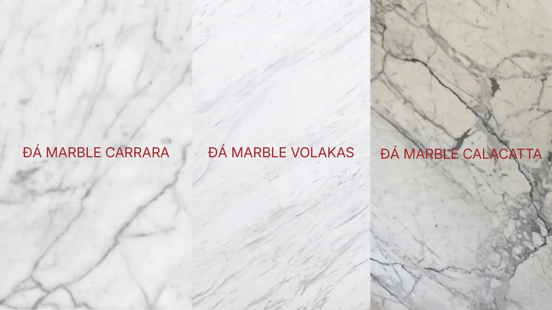 các loại đá marble được ưa chuộng