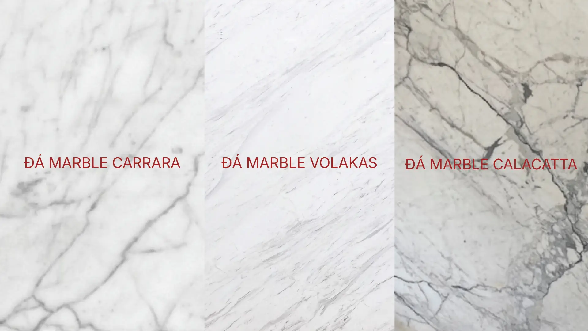 các loại đá marble được ưa chuộng